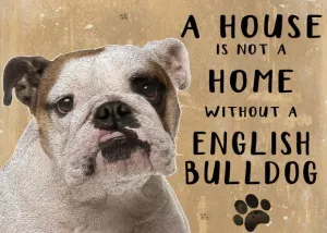 A House is not a Home without an English Bulldog
